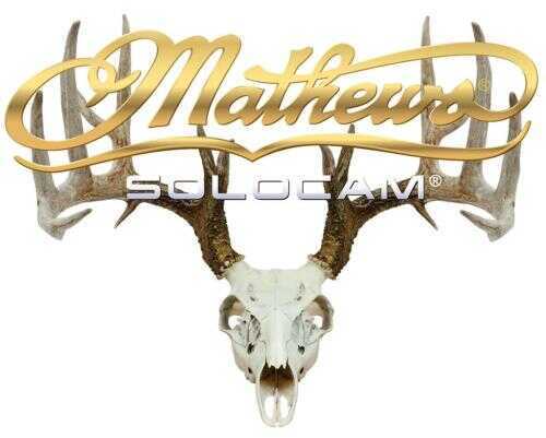 Decals With Distinction DWD Mathews Solocam Skull Gold 10x8 in. Model: 70795S