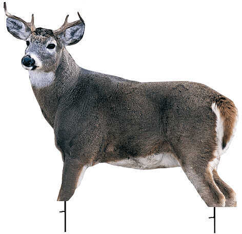 Montana Decoy Whitetail Buck 37"x48" 57622