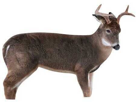 Montana Decoy The Freshman Buck Model: 0046-img-0