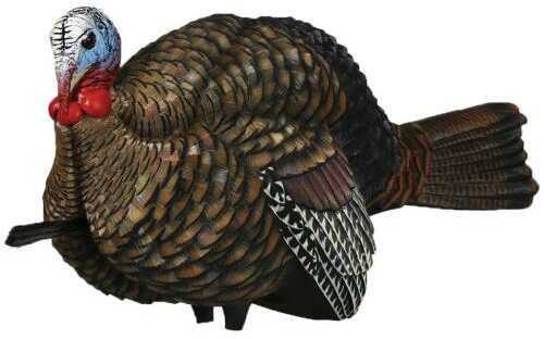 Avian X Turkey Decoy 1/2 Strut Jake Model: FG-DCOY-68012