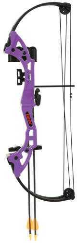 Bear Archery Brave Bow Set Purple 13.5-19 in. 15-25lbs. RH Model: AYS3000PL