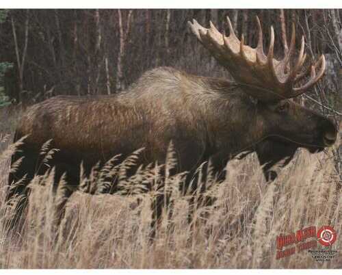DuraMesh Archery Targets Moose 25 in. x 32 Model: DM214