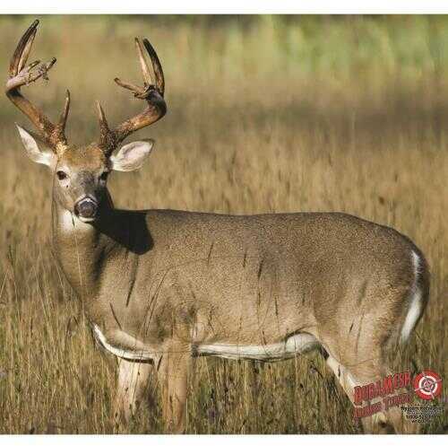 DuraMesh Archery Targets Whitetail 4 25 in. x 32 Model: DM222