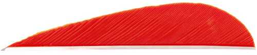Trueflight Parabolic Feathers Red 3 in. LW 100 pk. Model: 01203