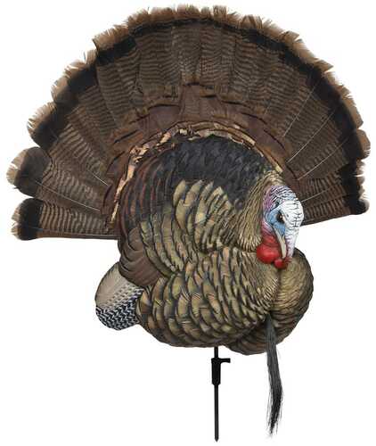 Avian X Turkey Decoy Trophy Tom Model: AVX8021