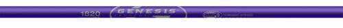 Easton Outdoors Genesis V2 Shafts Purple 1 doz. Model: 826237