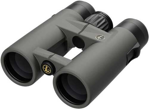 Leupold Bx-4 Pg Hd Bino 10x42 Grey Pro Guide Hd|shadow Grey 184761