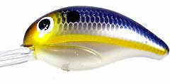 Bandit Lures DR 1/4 2" NAT SHAD DR2D62