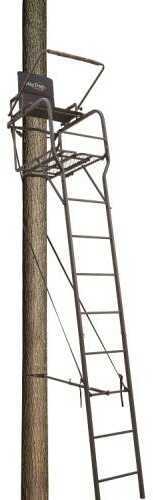 Big Dog Treestands Stand Ladder Beast 22Ft Model: BDL-399