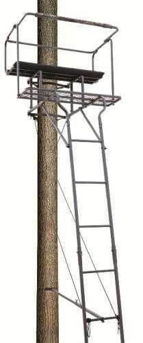 Big Dog Treestands Stand Ladder Bud 15Ft 2-Man Model: BDL-405