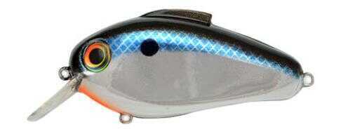 Bill Lewis Lures Echo 1.75 Crankbait 5/8 Chrome Shad Model: EC-SY1