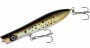 Bomber Saltwater Creek Chub Pin Popper 9in 4oz Squid Md#: I8109-51