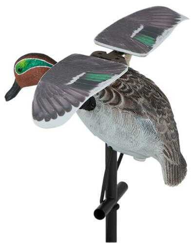 Lucky Duck (by Expedite) Flapper Teal Hd Model: 21-10916-8