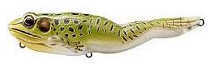 LIVETARGET Lures / Koppers Fishing and Tackle Corp Usa Walking Frog 7/8oz 4 5/8in Brown Black Md#: FGW118T-503