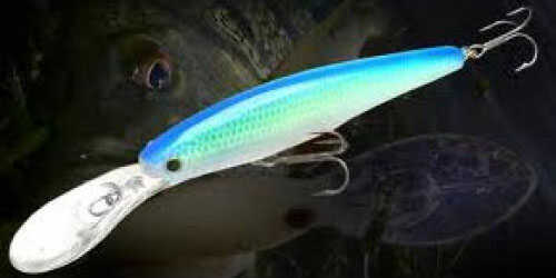 Lucky Craft Lures Staysee 90sp 7/16oz 3-1/2in Orange Tennessee Shad Md#: SS90SPV2-077OTSD