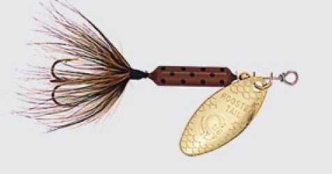 Rooster Tails Single Hook 1/16 Pumpkinseed 12/bx - Freshwater Fishing Baits  & Lures at  : 1018486770