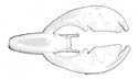 Netbait Paca Chunk 6 per bag White Md#: 36002