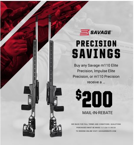 Image for news headline - Savage – Precision Savings