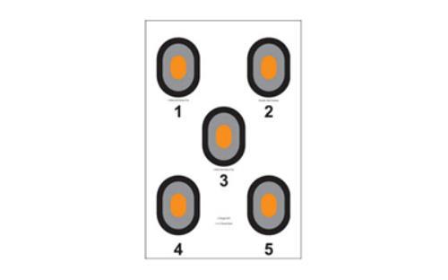 Action Target Bulls-Eye Five Bullseye w/Orange Center 100 Per Box 530-OC-100