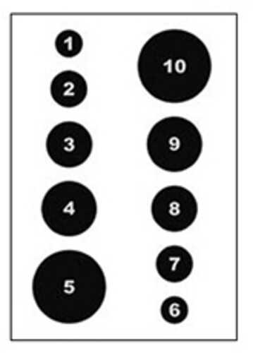 Action Tgt Cir Command Trng 100pk Vb-52-100-img-0