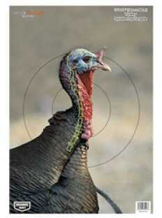 Birchwood Casey Pregame Target With Visible Vitals Turkey 12x18 8 Targets 35403