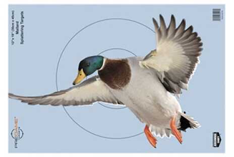 Birchwood Casey PREGAME Duck Targets Per 8-img-0