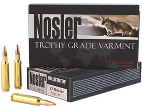 22 Nosler 20 Rounds Ammunition 55 Grain Ballistic Tip