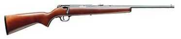 Savage Arms 315 22 Short / Long /22 Rifle 19" Barrel Youth Model 60202