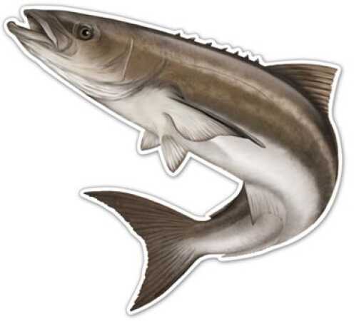 Salty Bones / Advanced Graphics /Advanced Action Fish Decal 5-1/2in X 7in Cobia Md#: ED2502SB