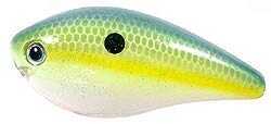 Strike King Lures KVD Square Bill Crankbait - 2.5in 2-1/2in 3-6ft Chartreuse Sexy Shad Md#: HCKVDS2.5-538