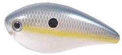 Strike King Lures KVD Square Bill Crankbait - 2.5in 2-1/2in 3-6ft Sexy Shad Md#: HCKVDS2.5-590