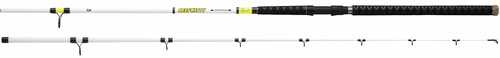 Daiwa Beef Kitty Catfish Rod 10ft Heavy 2 Piece