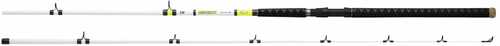 Daiwa Beef Kitty Catfish Rod 12ft Medium Heavy 2 Piece