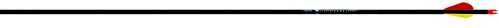 Beeman Nightfall Arrow 2in Blazer Vane Size 340 6pk 120804