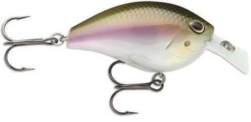 Rapala USA Storm Arashi Sq. 1/2oz Wakasagi ASQS03686