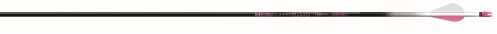 Easton Outdoors Ion Pink Arrow With 2 Inch XPV Vanes Size 500 6 Pack Md: 020772