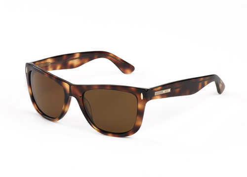 Hang Ten Gold The Wavefarer2-Brown Demi Brown Lens Sunglasses