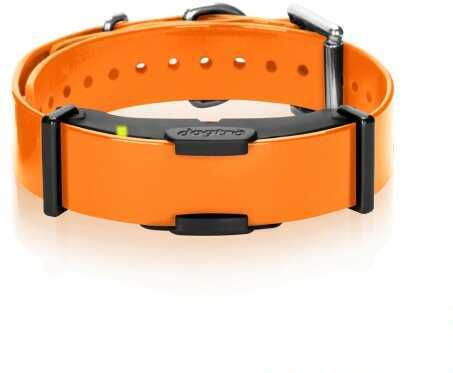 Dogtra ARC Additional Receiver Collar Orange ARC-ADD-RX