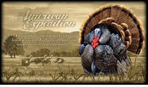 American Expedition Canvas Art - Wild Turkey