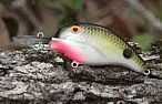 Bandit Lures Mr 1/4 2" Cht Rootbeer