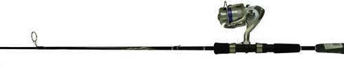 Daiwa D-SHOCK 2P 2BB 6'6" SPIN COMB