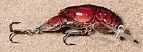 Rebel REB Teeny Wee Craw 1/10-Texas Red