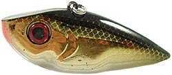 Strike King SK RED EYE SHAD 1/2 GOLD Black REYESD12-406