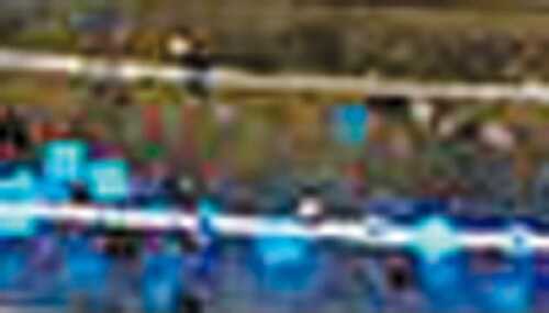 Strike King Lures Rage Craw 4in 7pk Okeechobee Md#: RGCRW-50