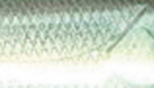 Strike King SK SHADALICIOUS 4.5" Green GIZZARD SHDLC4.5-568