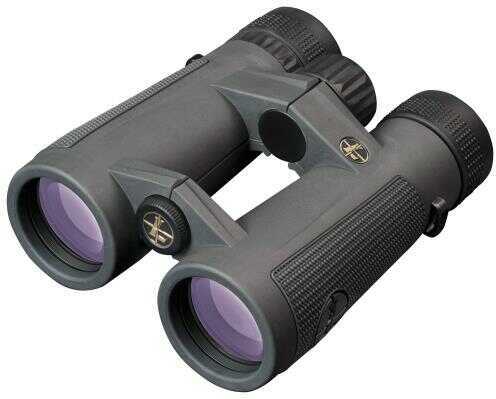Leupold Binoculars 12x50 Bx-5 Santiam Hd Gray