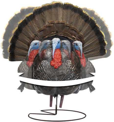 Higdon Outdoors 63175 Tru-strutter Xs Turkey Tom S-img-0