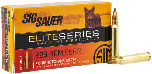<span style="font-weight:bolder; ">223</span> Remington 20 Rounds Ammunition Sig Sauer 55 Grain Ballistic Tip