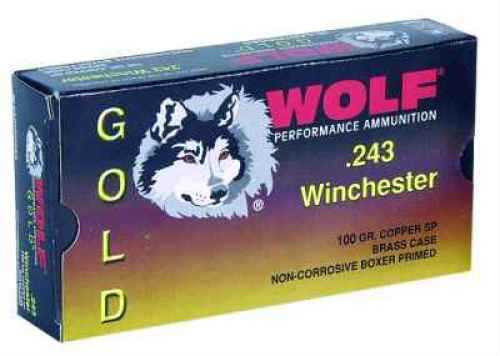 243 Winchester 20 Rounds Ammunition Wolf Performance Ammo 100 Grain Soft Point