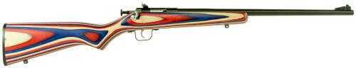 Crickett KSA2253 Single Shot Bolt 22 Long Rifle 16.12" Barrel 1 Laminated Red/White/Blue Stock Blued